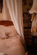 Blush Gingham Dreams Canopy