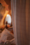 Blush Gingham Dreams Canopy