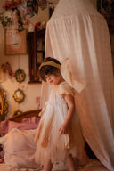 Blush Gingham Dreams Canopy