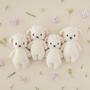 Baby Lamb - Cuddle & Kind