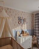 Childrens bed canopy