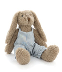 Mr Honey Bunny