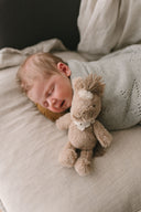 Harvey the Horse Rattle | Nana Huchy
