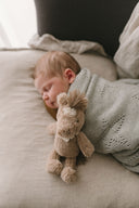 Harvey the Horse Rattle | Nana Huchy