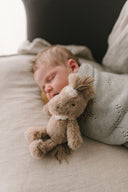 Harvey the Horse Rattle | Nana Huchy