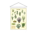 Herb Wall Banner